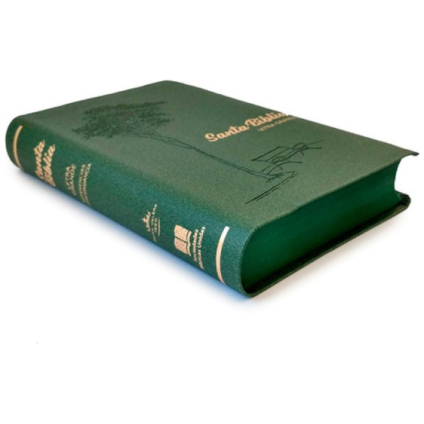 Biblia RVR1960 Letra Grande Tapa Blanda Verde - Image 2
