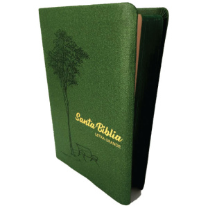 Biblia RVR1960 Letra Grande Tapa Blanda Verde
