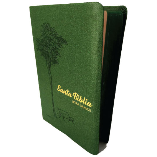 Biblia RVR1960 Letra Grande Tapa Blanda Verde