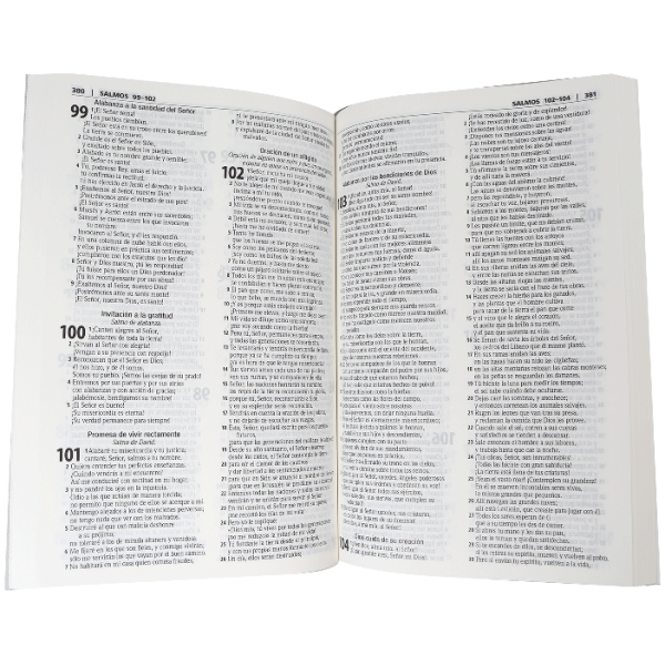 Biblia RVR1960 Contemporánea Ws Whisper RVC060MWS misionera - Image 4