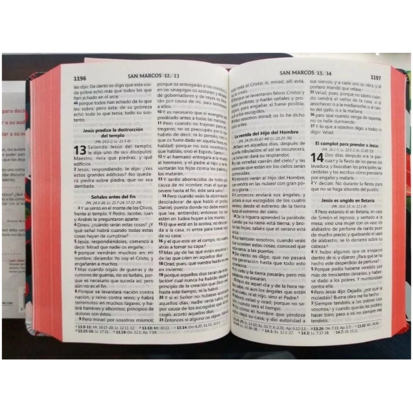 Biblia Flores Silvestres Letra Grande Tamaño manual - Image 4