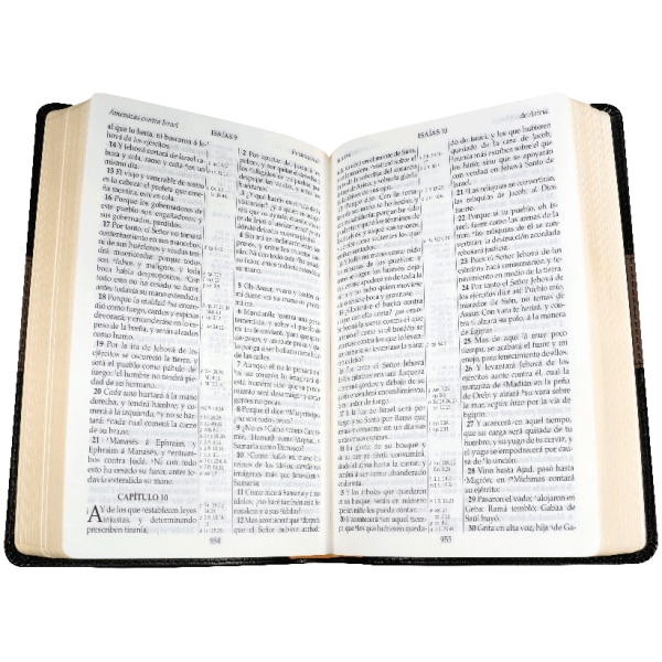 Biblia Rv1909 lt Grande Imit Piel Negro VR065LG - Image 3