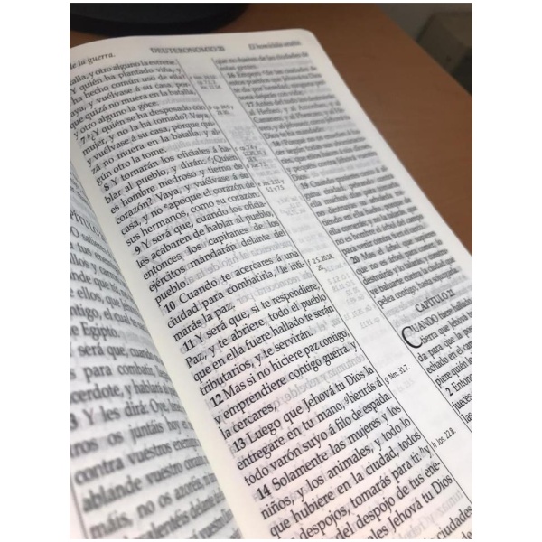 Biblia RV1909 Letra Grande Rosa 065 - Image 2