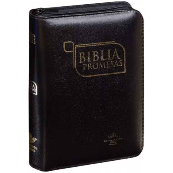 Rvr1960 Biblia Promesas