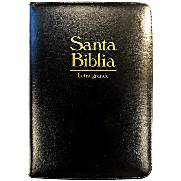 Biblia Mediana L/gigante Rvr1960 Imit Piel Negro Acolchonada