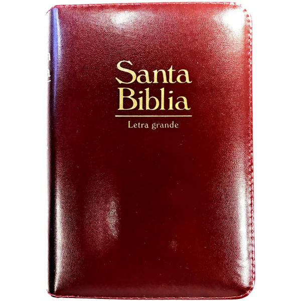 Biblia Mediana Rvr1960 Imit Piel Vino Acolchonada Con Índice