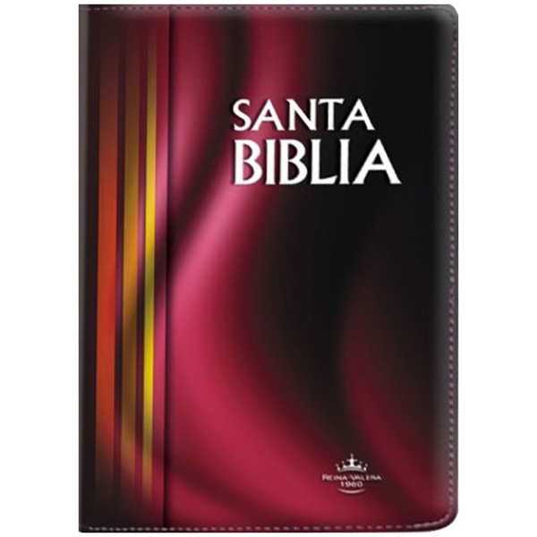 Biblia plasti vino Letra grande rvr042czlgpjr