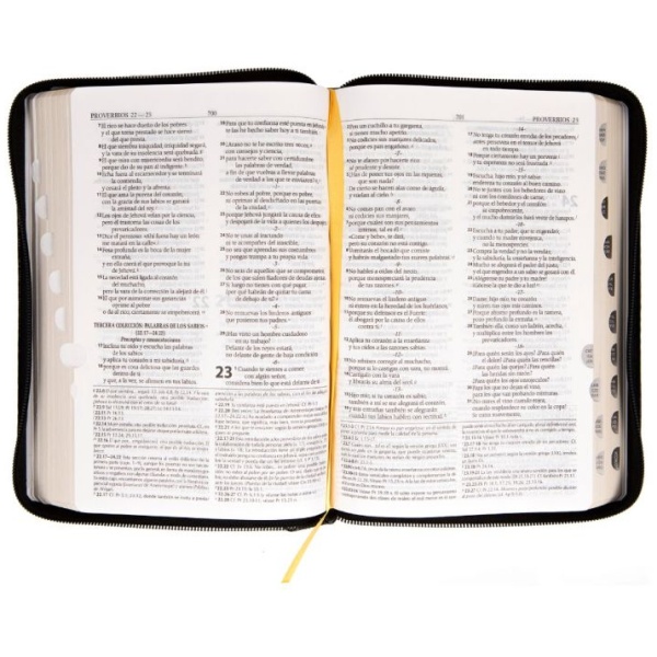 Biblia De Estudio Mediana Rvr1995 Imit Piel Negro Con Índice - Image 2