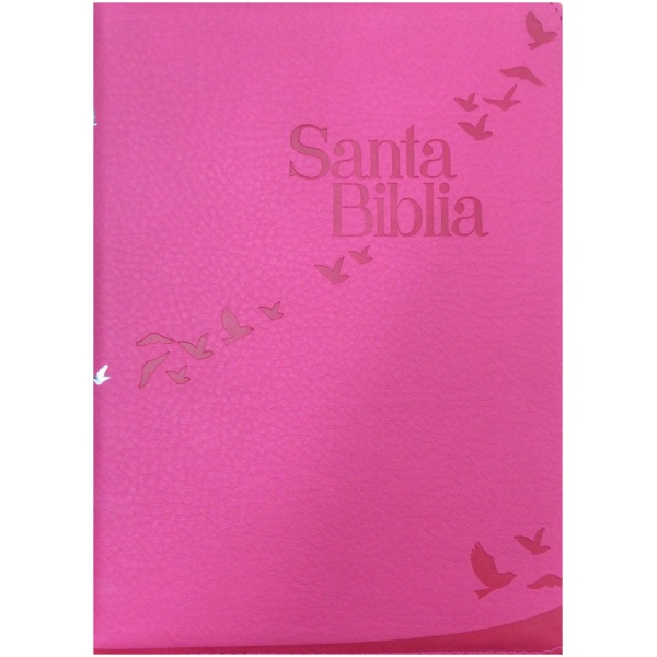 Biblia RVR60 Rosa palomas Canto Plateado