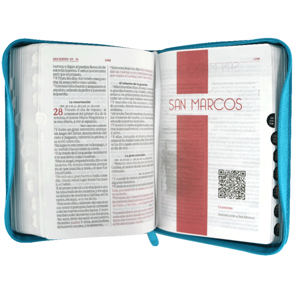 Biblia Color Azul Amarillo RVR 1960 RVR045cZTILM PJR - Image 4