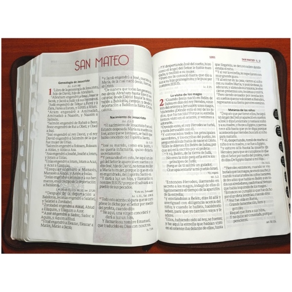 Biblia RVR 1960 Letra Gigante Cierre Negro Gris - Image 3
