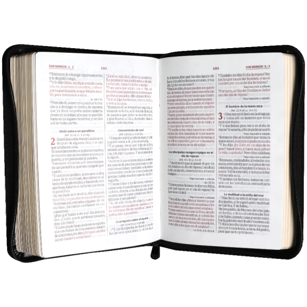 Biblia RVR1960 Mediana Negro RVR055cZLGa PJR - Image 2