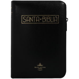 Biblia RVR1960 Mediana Negro RVR055cZLGa PJR