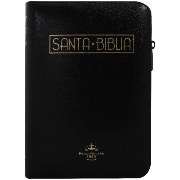 Biblia RVR1960 Mediana Negro RVR055cZLGa PJR