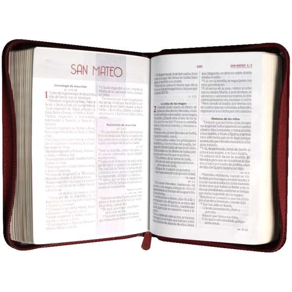 Biblia RVR1960 Mediana Vino Tinto RVR055cZLGa PJR - Image 3