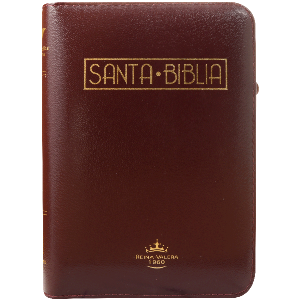 Biblia RVR1960 Mediana Vino Tinto RVR055cZLGa PJR
