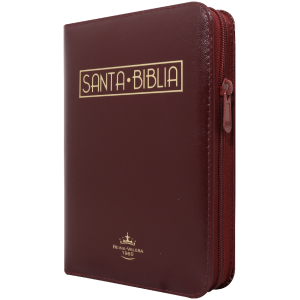 Biblia RVR1960 chica vino canto dorado RVR045cZLMa PJR