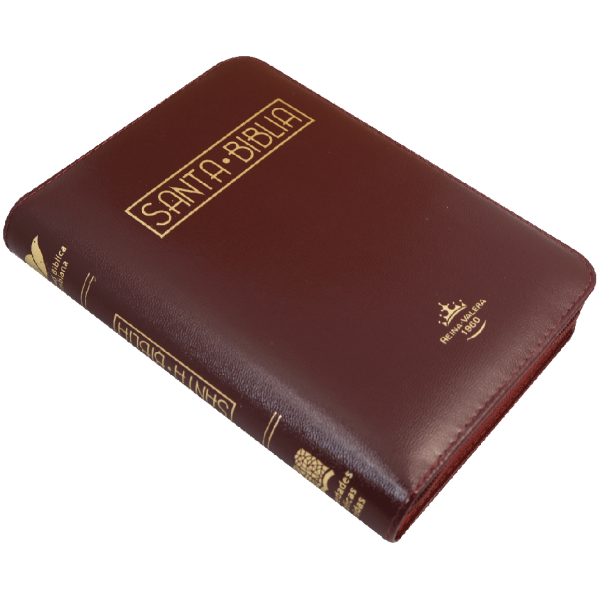 Biblia RVR1960 chica vino canto dorado RVR045cZLMa PJR - Image 5