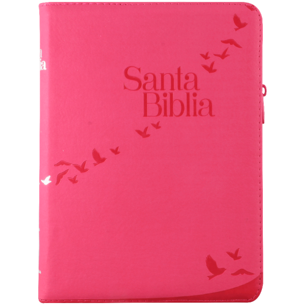 Biblia RVR1960 Letra Gigante Rosa aves RVR086cZLGiPJR - Image 2