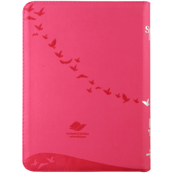 Biblia RVR1960 Letra Gigante Rosa aves RVR086cZLGiPJR - Image 3