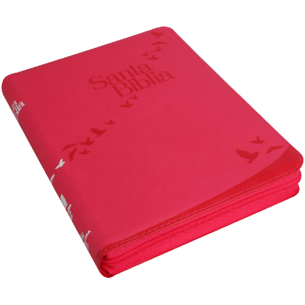 Biblia RVR1960 Letra Gigante Rosa aves RVR086cZLGiPJR - Image 4