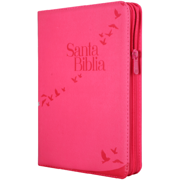 Biblia RVR1960 Letra Gigante Rosa aves RVR086cZLGiPJR