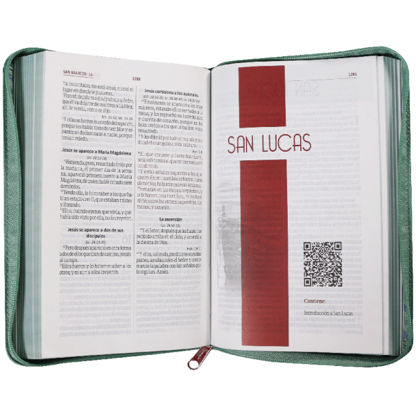 Biblia RVR1960 mediana letra grande verde canto verde RVR065CZLG PJR - Image 2