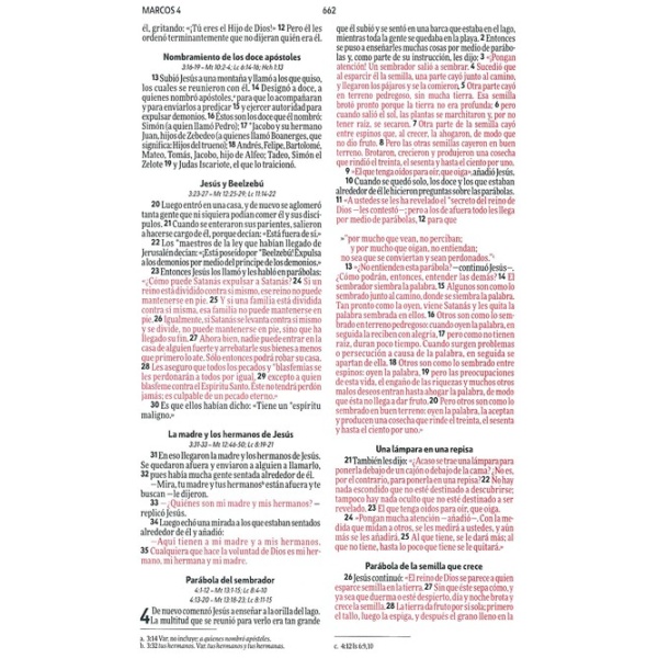 Biblia NVI Mediana Excelencia Ultra fina Rústica Verde - Image 2