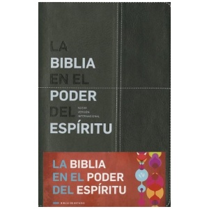La Biblia En El Poder Del Espíritu NVI
