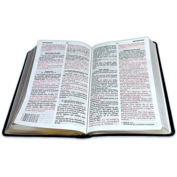 Biblia RVR1960 Manual Letra Grande Negra - Image 2