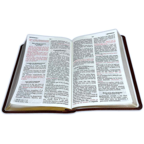 Biblia RVR1960 Clásica Café - Image 2