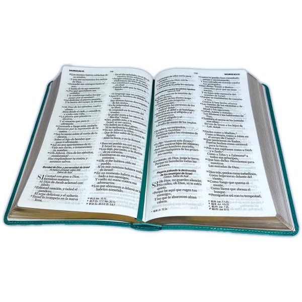 Biblia RVR1960 Manual Letra Grande Turquesa - Image 2