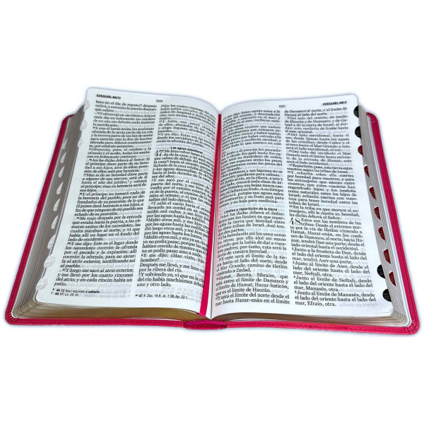 Biblia RVR1960 Clásicafucsia índice cierre 12.5pt 065PJR - Image 3