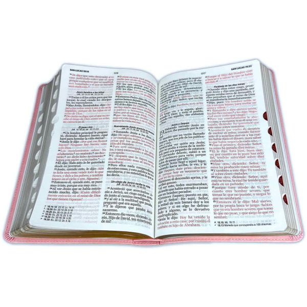 Biblia RVR1960 Mujer Piel Rosado Índice - Image 2