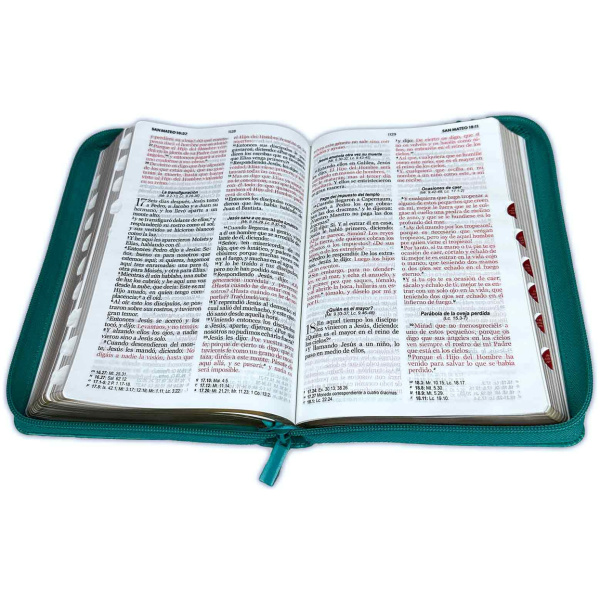 Biblia RVR1960 Clásica turquesa índice cierre 12.5pt 065PJR - Image 2