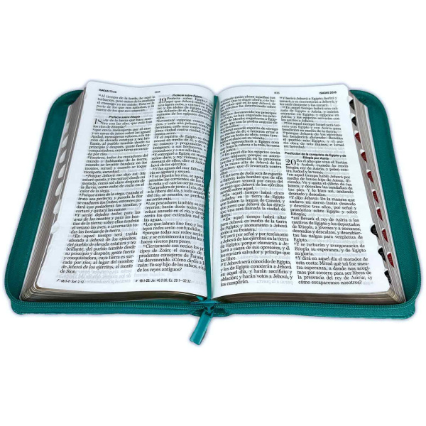 Biblia RVR1960 Clásica turquesa índice cierre 12.5pt 065PJR - Image 3
