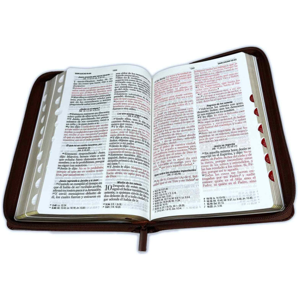 Biblia RVR1960 Letra Grande Cierre Chocolate Café Índice - Image 2