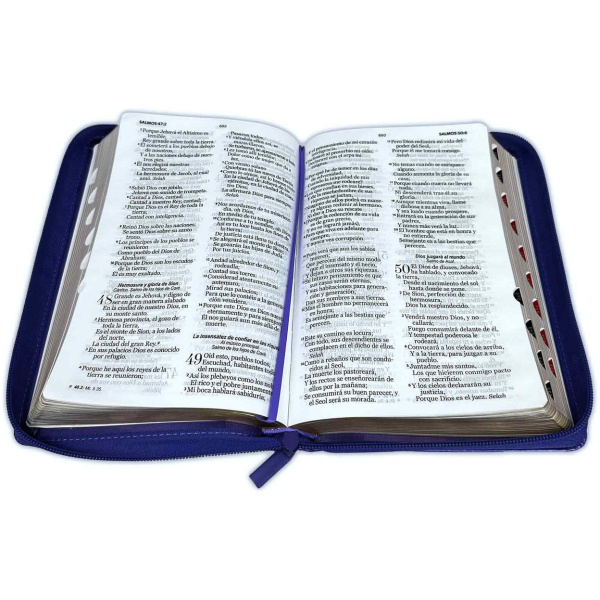 Biblia RVR1960 Clásica bitono lila morado manual índice cierre 12.5pt 065PJR - Image 3
