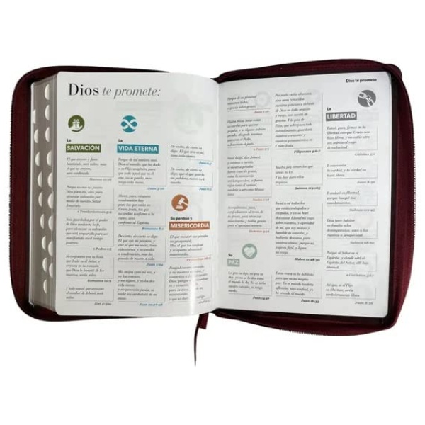 Biblia RVR1960 Tradicional marron embossed geom índie cierre 15pt 085PJR - Image 3