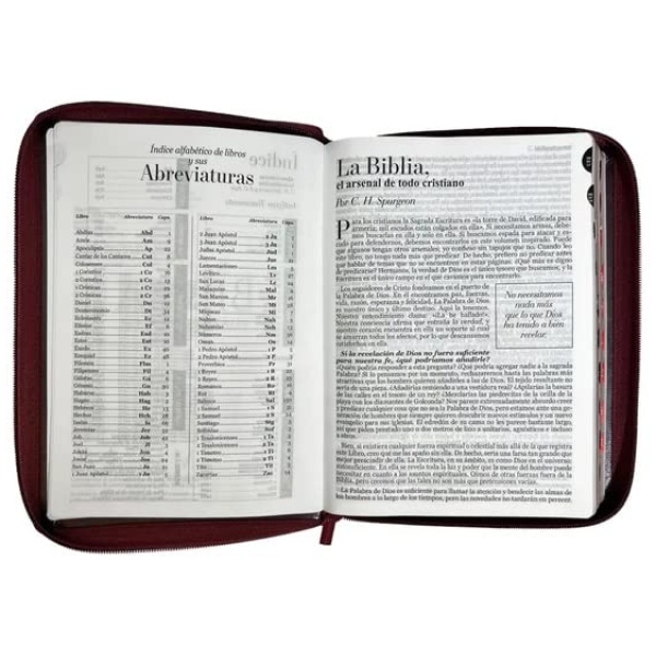 Biblia RVR1960 Tradicional marron embossed geom índie cierre 15pt 085PJR - Image 4