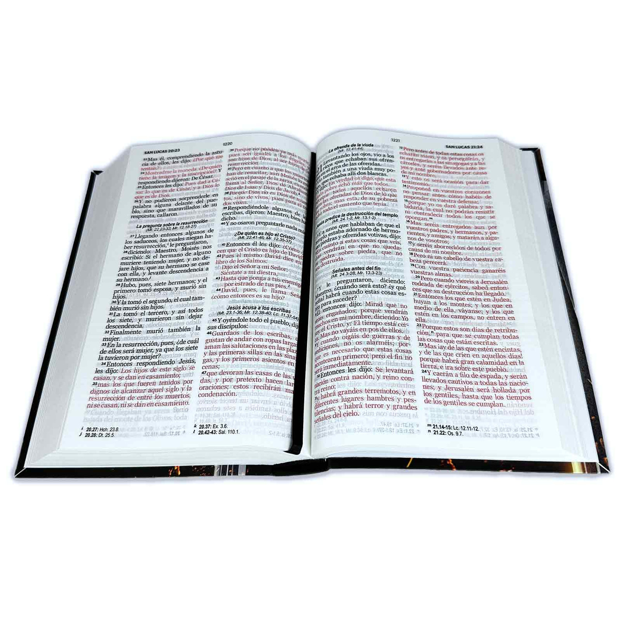 Biblia RVR1960 Espada Tapa Flexible 12pt PJR - Image 2