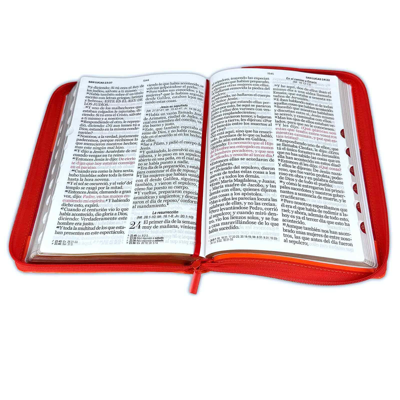 Biblia RVR1960 Classic Abba coral índice cierre 12.5pt 065PJR - Image 3