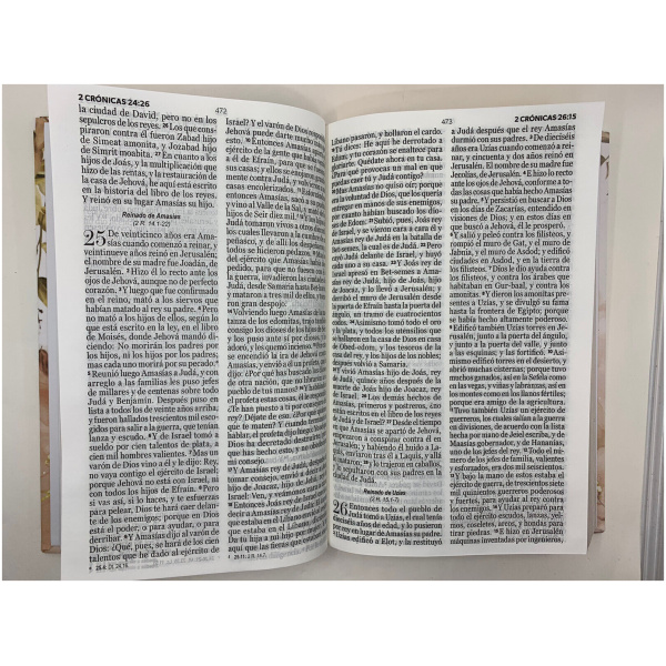 Biblia RVR1960 tapa dura flores dorado grande 12pt - Image 3
