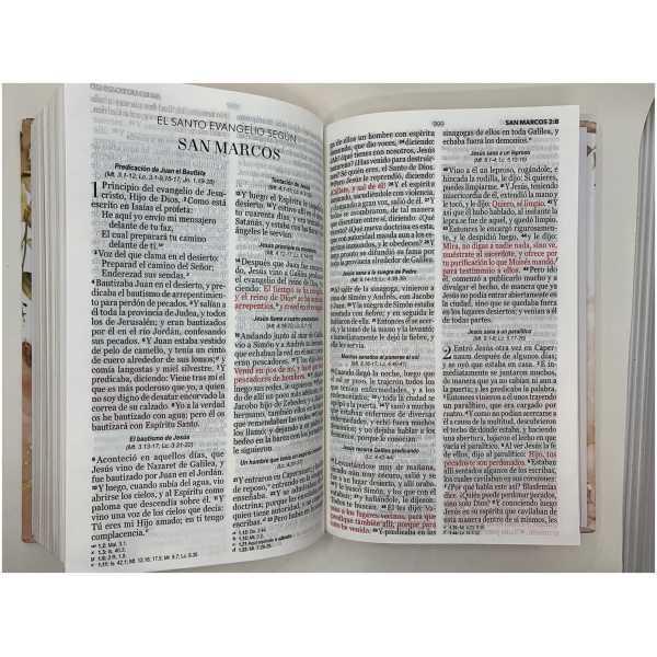 Biblia RVR1960 tapa dura flores dorado grande 12pt - Image 4