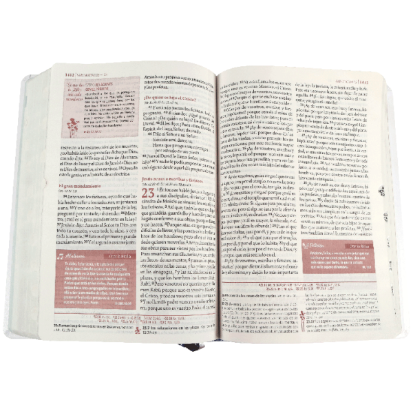 Biblia de estudio Ser Mujer letra grande RVR60 índice - Image 3