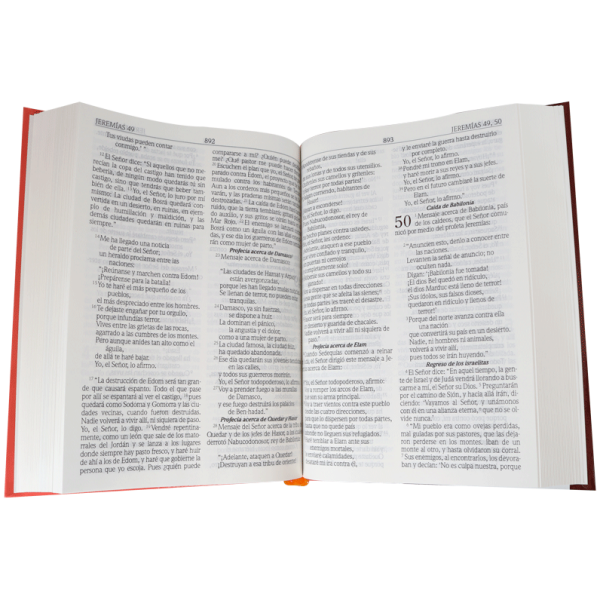 Biblia Dios Habla Hoy, Tapa Dura - Image 3