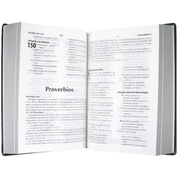 Biblia TLA Vinil Negro Letra grande TLA62LG - Image 2
