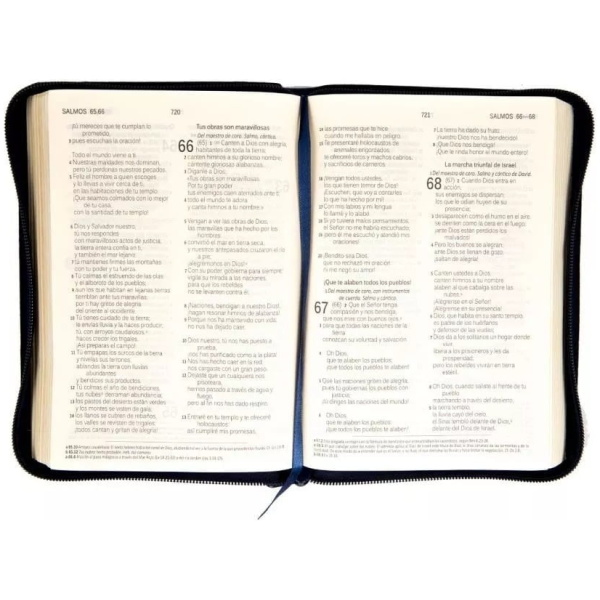 Biblia Dios Habla Hoy Dhh, Letra Grande Con Deuterocanónicos - Image 3