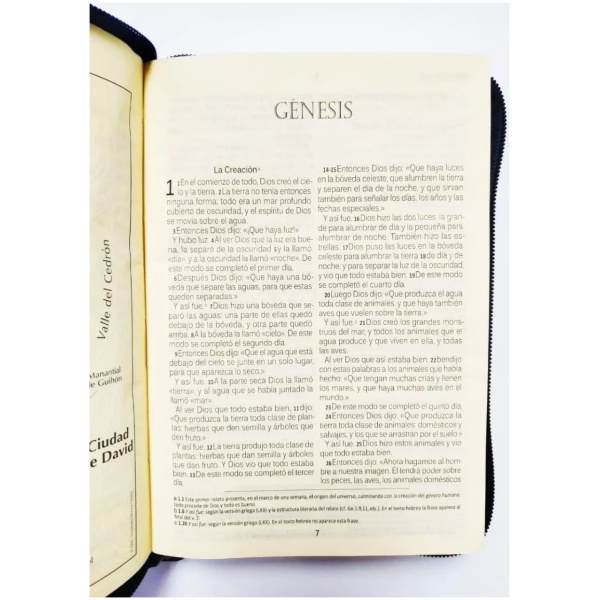 Biblia Dios Habla Hoy Dhh, Letra Grande Con Deuterocanónicos - Image 2