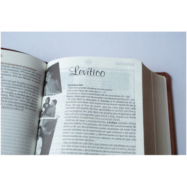 La Biblia De Mi Familia Lenguaje Actual - Image 3